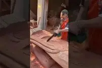 (ویدئو) مهارت باورنکردنی این مرد در منبت کاری با اره برقی روی کنده درخت