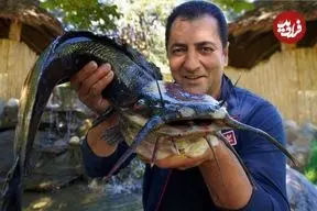 ببینید| غذای روستایی در آذربایجان؛ تهیه سوپ و کباب گربه ماهی در یک روستایی بهشتی