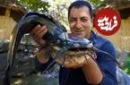 ببینید| غذای روستایی در آذربایجان؛ تهیه سوپ و کباب گربه ماهی در یک روستایی بهشتی