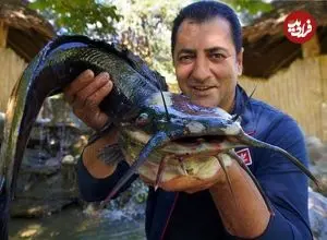 ببینید| غذای روستایی در آذربایجان؛ تهیه سوپ و کباب گربه ماهی در یک روستایی بهشتی