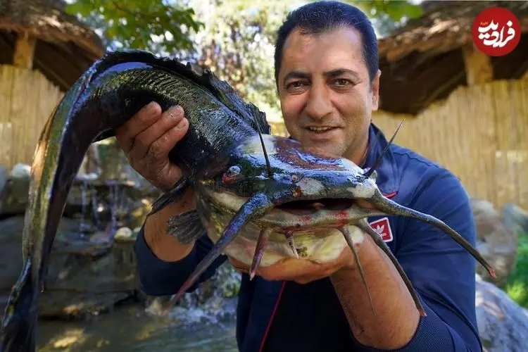ببینید| غذای روستایی در آذربایجان؛ تهیه سوپ و کباب گربه ماهی در یک روستایی بهشتی
