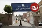 عکس| سفر زمان؛ محققان «انستیتو پاستور ایران» در دوران قاجار