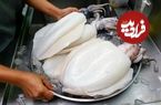 ببینید؛ غذای خیابانی در تایلند؛ کباب ماهی مرکب طعم دار شده در بانکوک