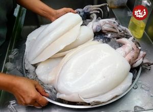 ببینید؛ غذای خیابانی در تایلند؛ کباب ماهی مرکب طعم دار شده در بانکوک