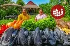 ببینید| غذای روستایی در سنگاپور؛ پخت مرغ سیاه با تارو در روستایی سرسبز