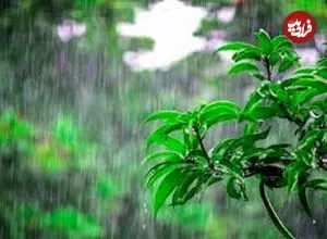 بارش باران تا چهارشنبه در نقاط مختلف کشور