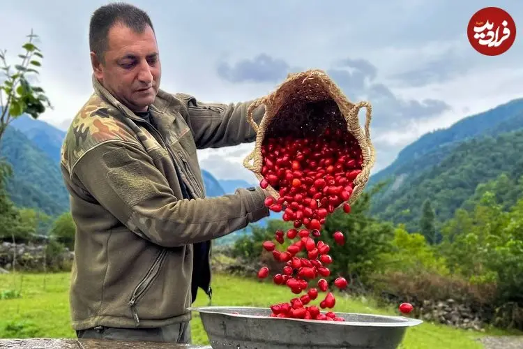 ببینید| غذای روستایی در آذربایجان؛ پخت یک غذای سنتی با برنج، گوشت و زغال اخته 