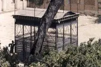 عکس| سفر به ایران قدیم؛ تصویری از «مقبرۀ حافظ» در یک قرن قبل