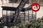 عکس| سفر به ایران قدیم؛ تصویری از «مقبرۀ حافظ» در یک قرن قبل