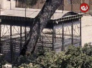 عکس| سفر به ایران قدیم؛ تصویری از «مقبرۀ حافظ» در یک قرن قبل