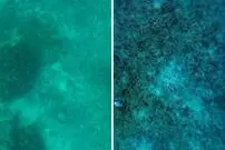 این فناوری، چهره واقعی اقیانوس را نشان می‌دهد