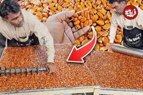 ببینید| غذای خیابانی در پاکستان؛ تهیه شیرینی بادام زمینی به روش سنتی در کراچی