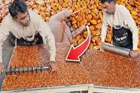 ببینید| غذای خیابانی در پاکستان؛ تهیه شیرینی بادام زمینی به روش سنتی در کراچی