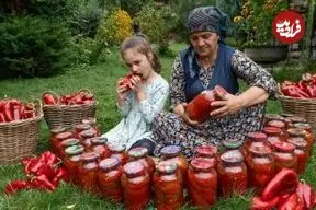 ببینید| غذای روستایی در آذربایجان؛ تهیه ترشی با فلفل دلمه ای برای زمستان