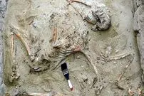  کشف مقبره تاریخی یک نوازنده در پرو
