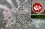 جنگل درختان 385 میلیون ساله که جای ریشه‌هایشان در سنگ باقی مانده است