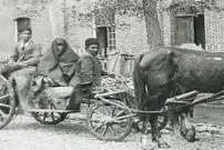 (تصاویر) سفر به ایران قدیم؛ ژست بامزۀ شازدۀ قجری و قلیان‌کشی در میدان سوارکاری