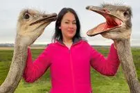 ببینید| غذای روستایی در اوکراین؛ کباب گردن شترمرغ با سبزیجات در فر 