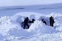 ببینید| دفن خودروها در پی بارش سنگین برف در روسیه