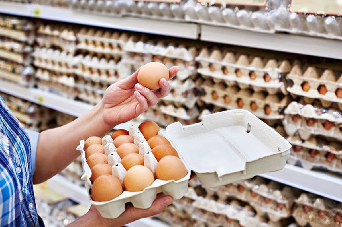 کاهش چشمگیر قیمت تخم مرغ در بازار؟!