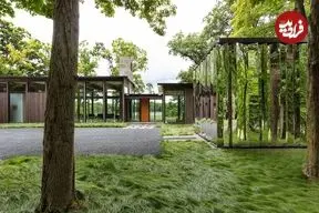 هشت خانۀ «مدرن دورافتاده» که در دل طبیعت ساخته شده‌اند