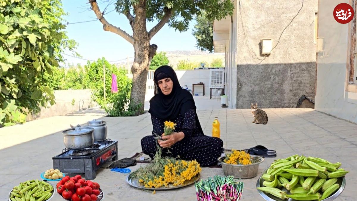 ببینید؛ غذای روستایی در ایلام؛ پخت خورشت گوجه بامیه محلی