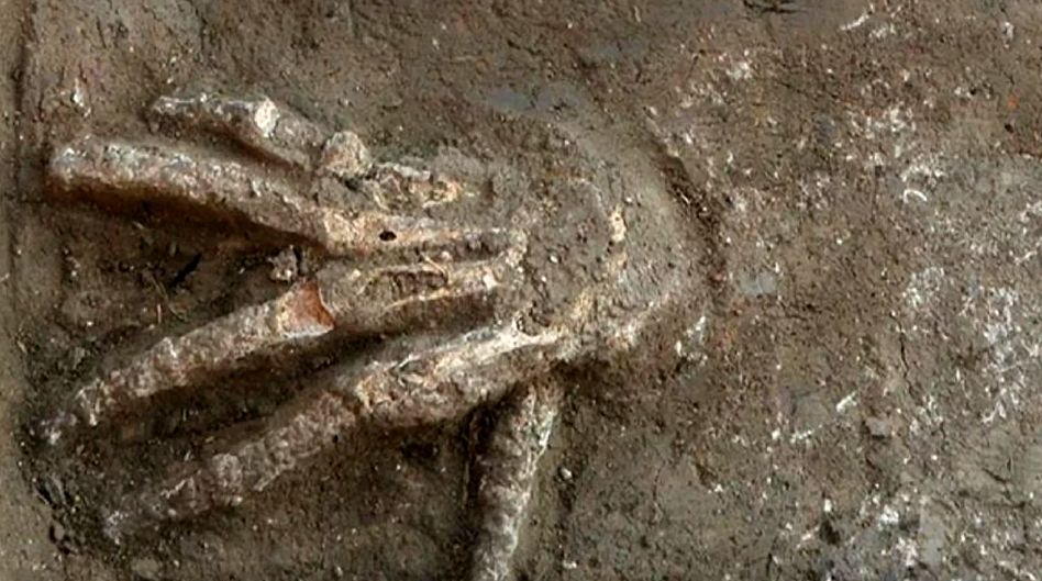  راز دست‌های بریده کشف‌شده در قصر باستانی متعلق به ۳۵۰۰ سال پیش در مصر