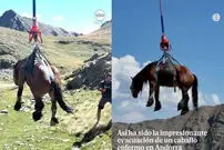 ببینید| نجات هوایی یک اسب زخمی با بالگرد
