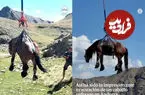 ببینید| نجات هوایی یک اسب زخمی با بالگرد