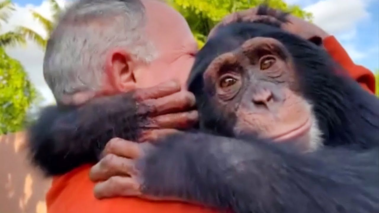 (ویدئو) دیدار فوق احساسی سگ، کانگورو و میمون با صاحبان شان پس از سال‌ها