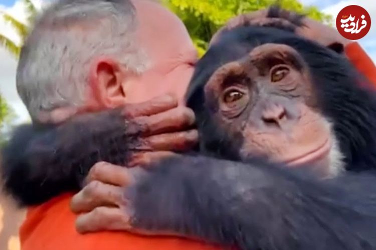 (ویدئو) دیدار فوق احساسی سگ، کانگورو و میمون با صاحبان شان پس از سال‌ها