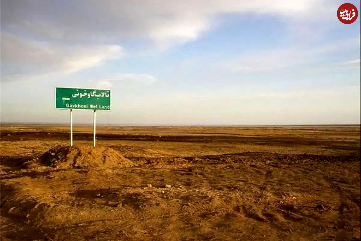تاثیر مرگ خاموش تالاب گاوخونی بر افزایش سرطان