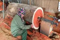 (ویدئو) مهارت یک نجار مشهور در ساخت گلدان با تنه درخت
