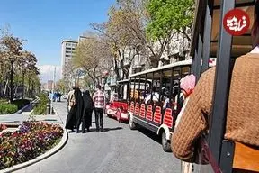 عکس| سفر به تهران قدیم؛ منظرۀ «میدان ارگ» از روی پشت‌بام تکیه دولت در زمان قاجار