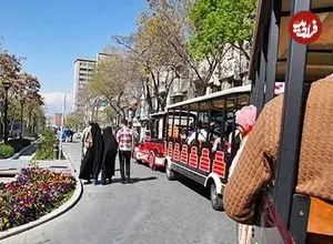 عکس| سفر به تهران قدیم؛ منظرۀ «میدان ارگ» از روی پشت‌بام تکیه دولت در زمان قاجار