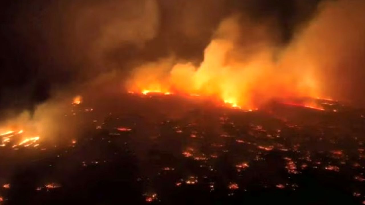 (ویدئو) تصاویر ترسناک از هاوایی بعد از آتش‌سوزی جنگل‌ها