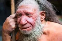 رد باوری قدیمی؛ بینی بزرگ نئاندرتال‌ها برای سازگاری با سرما تکامل نیافته بود