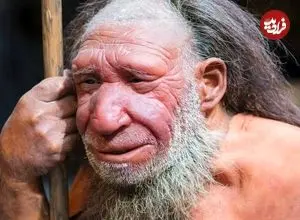رد باوری قدیمی؛ بینی بزرگ نئاندرتال‌ها برای سازگاری با سرما تکامل نیافته بود
