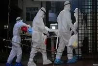 ویروس «نیپا» چیست و چقدر باید نگران آن باشیم؟