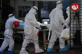 ویروس «نیپا» چیست و چقدر باید نگران آن باشیم؟