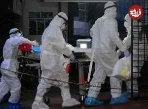 ویروس «نیپا» چیست و چقدر باید نگران آن باشیم؟