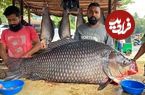ببینید؛ برش زدن ماهی کاتلا 50 کیلوگرمی به روش ماهی فروش سریلانکایی