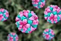 جزئیات شیوع عفونت‌ نوروویروسی در جنوب چین