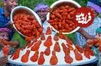 ببینید| غذای روستایی در هند؛ تهیه بال مرغ سوخاری با سس گوجه فرنگی در طبیعت