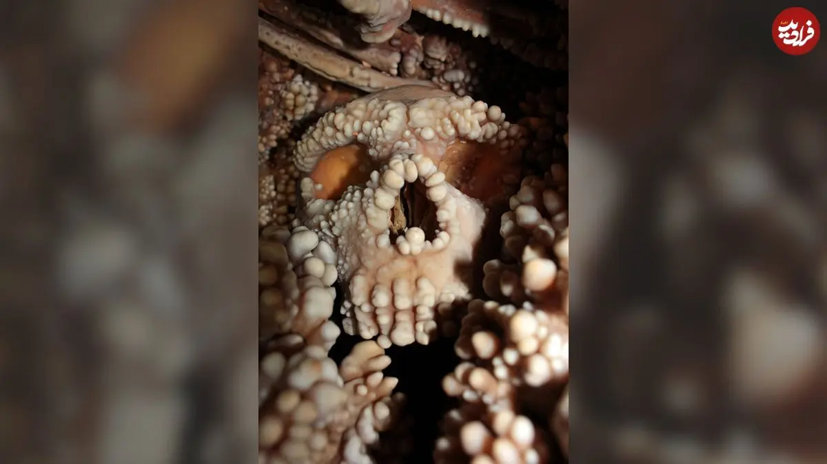 رازی دربارۀ انسان‌های منقرض‌شده که «جمجمۀ 130 هزارساله» آن را فاش کرد