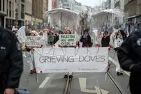 تصاویر| یادبود کبوترهای سوگوار در آلمان