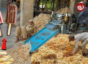 ببینید؛ چوب بستنی چگونه تولید می شود؟