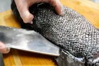 ببینید| غذای خیابانی در آمریکا؛ تهیه غذا با ماهی سیاه به همراه ژامبون در نیویورک