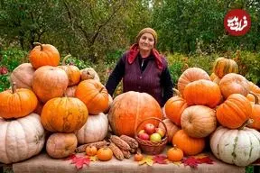 ببینید| غذای روستایی در آذربایجان؛ پخت یک غذای خاص با کدو تنبل، برنج و گوشت بره در تنور