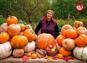 ببینید| غذای روستایی در آذربایجان؛ پخت یک غذای خاص با کدو تنبل، برنج و گوشت بره در تنور